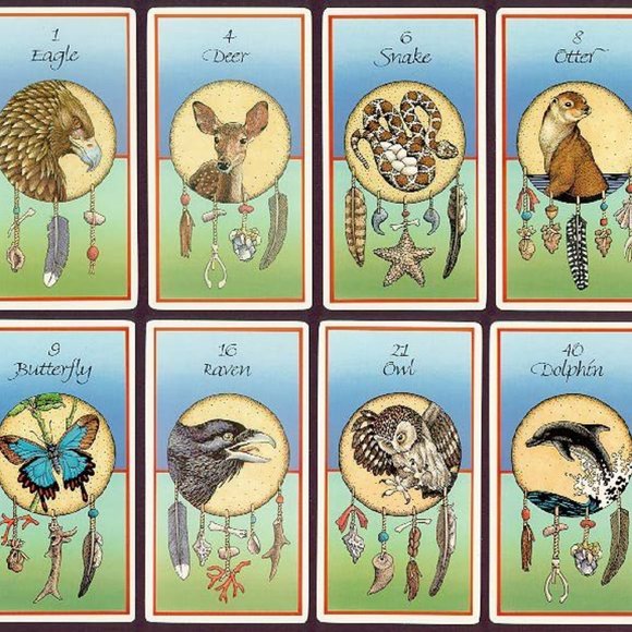 Medicine Cards: The Discovery of Power Through the Ways of Animals - Picture 6 of 6